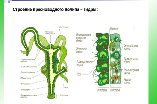 Кракен актуальная ссылка тор