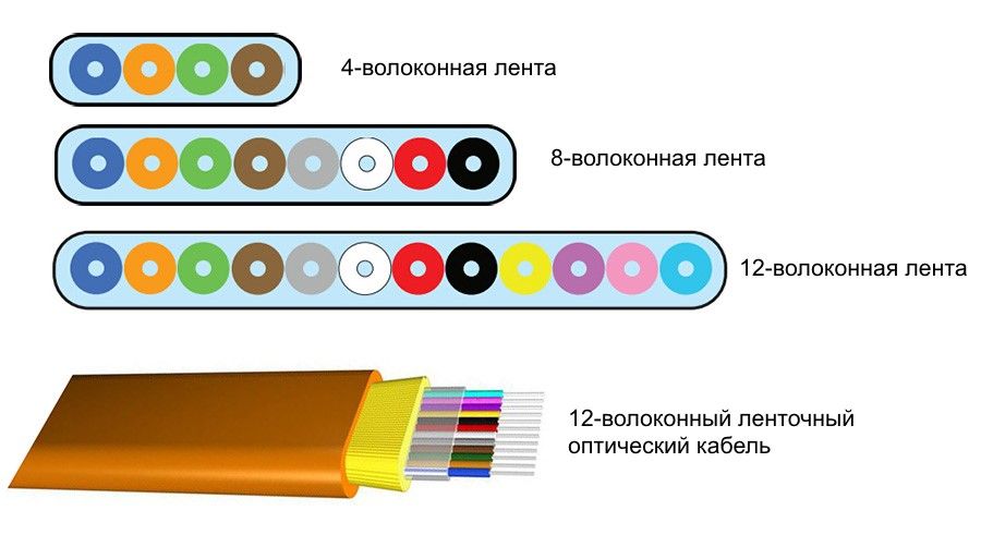 Ссылка в даркнет
